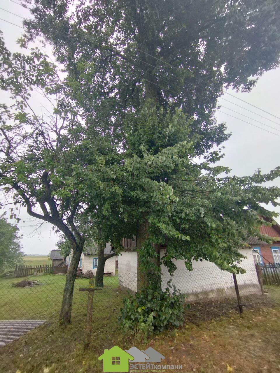 Фото Продажа дома в деревне Масиловичи (№28/4) 1